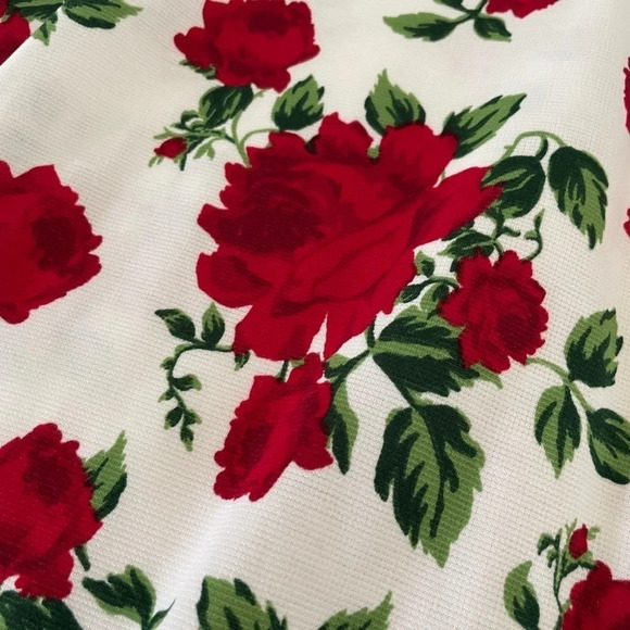 H & M ROSE DRESS SIZE 8 - Picture 5 of 16